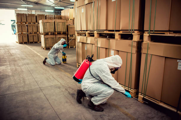Best Flea Control Services  in Poplar Grove, IL