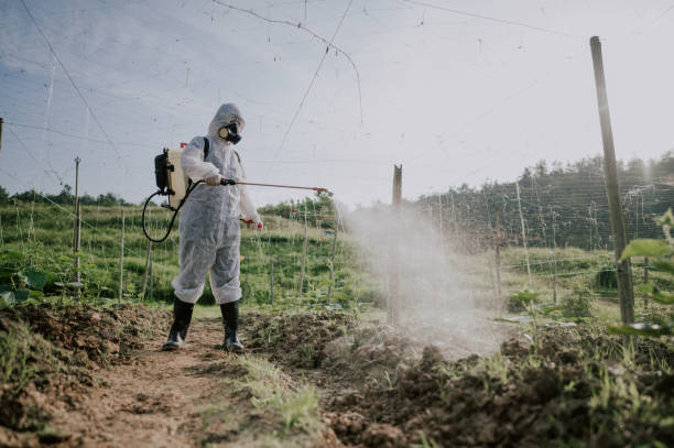 Best Affordable Pest Control Services  in Poplar Grove, IL