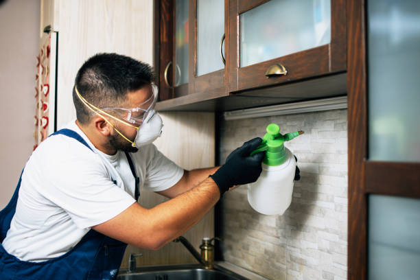 Pest Control for Restaurants in Poplar Grove, IL