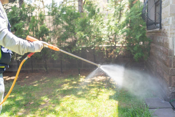 Best Spider Control Near Me  in Poplar Grove, IL