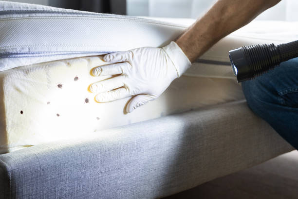Best Pest Control for Restaurants  in Poplar Grove, IL