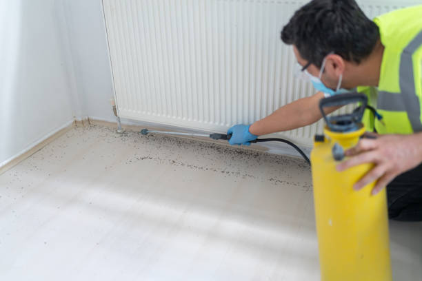 Best Ant Control Services  in Poplar Grove, IL